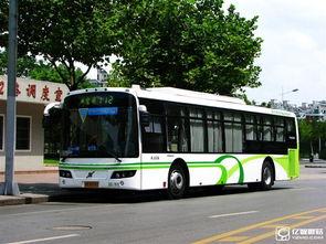 通州公交车爆料新闻最新,通州公交车突发意外！最新爆料揭示惊心动魄一幕